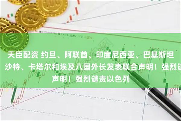 天臣配资 约旦、阿联酋、印度尼西亚、巴基斯坦、土耳其、沙特、卡塔尔和埃及八国外长发表联合声明！强烈谴责以色列